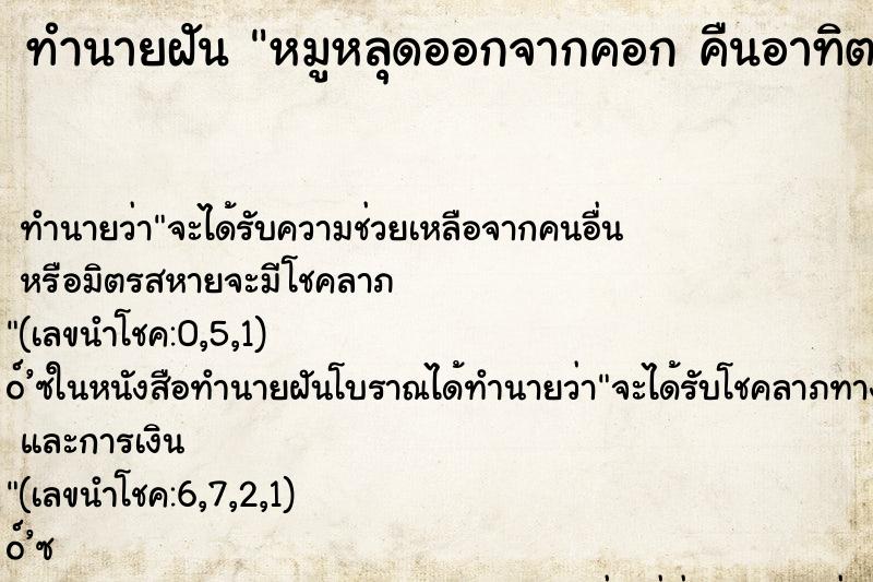 ทำนายฝัน หมูหลุดออกจากคอก คืนอาทิตย์